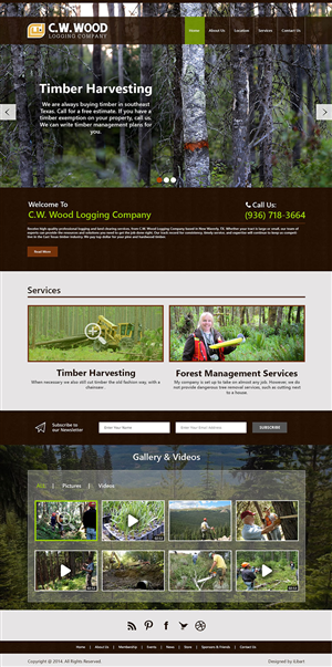 Web Design by iLibart