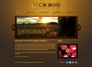Web Design by Advent Innovative