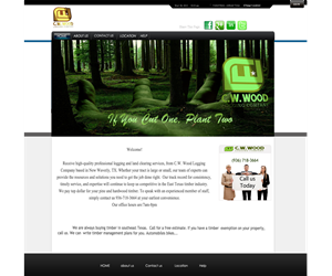 Web Design by jonesdaniel