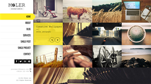 Web Design by Mohtasham H