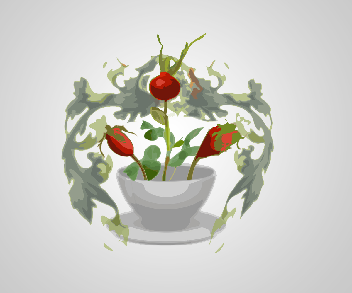 Logo Design by Robert for this project | Design #1391480