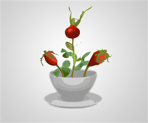 Logo Design by Robert for this project | Design: #1391491