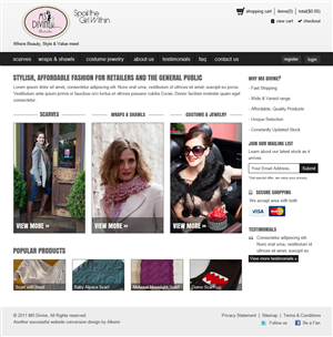 Womens Scarves & Accessories Homepage Design | Web Design by slapBackChewLater