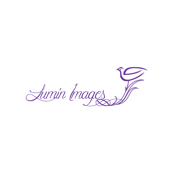 Diseño de Logo por Aijaz Hayat para Lumin Images, LLC | Diseño #4834520