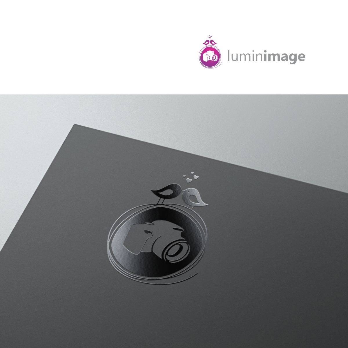 Logo-Design von cb1318 für Lumin Images, LLC | Design #4835049