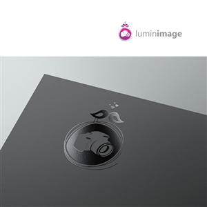 Logo-Design von cb1318 für Lumin Images, LLC | Design: #4835049