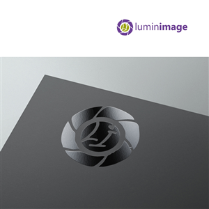 Logo-Design von cb1318 für Lumin Images, LLC | Design: #4835255