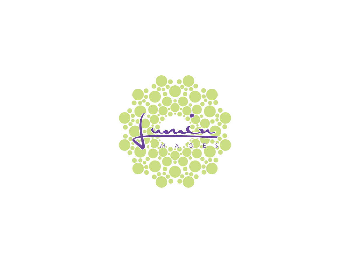Logo-Design von suro212 für Lumin Images, LLC | Design #4831938