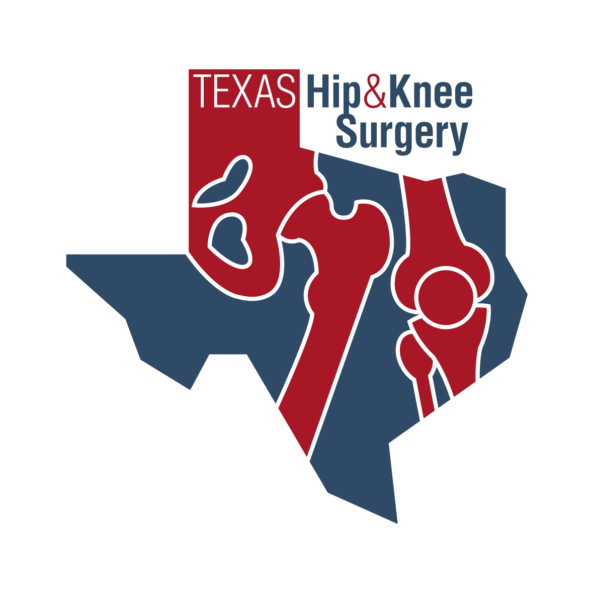 Logo Design by begizuria for PhysVisible | Design #1374540