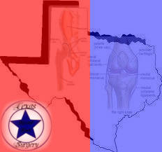 Logo Design by Royalty Graphics  for PhysVisible | Design #1380583