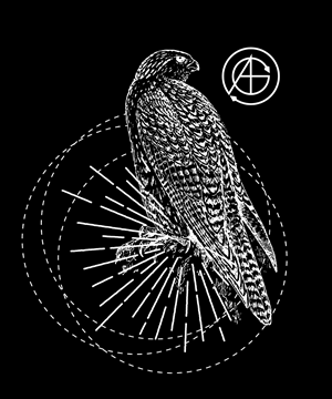 Contemporary Urban Apparel Brand Seeks 2 T-Shirt Designs