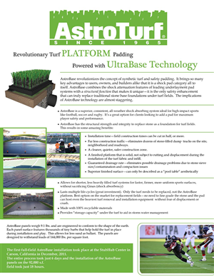 Flyer Design by emilia cat for this project | Design #4844029