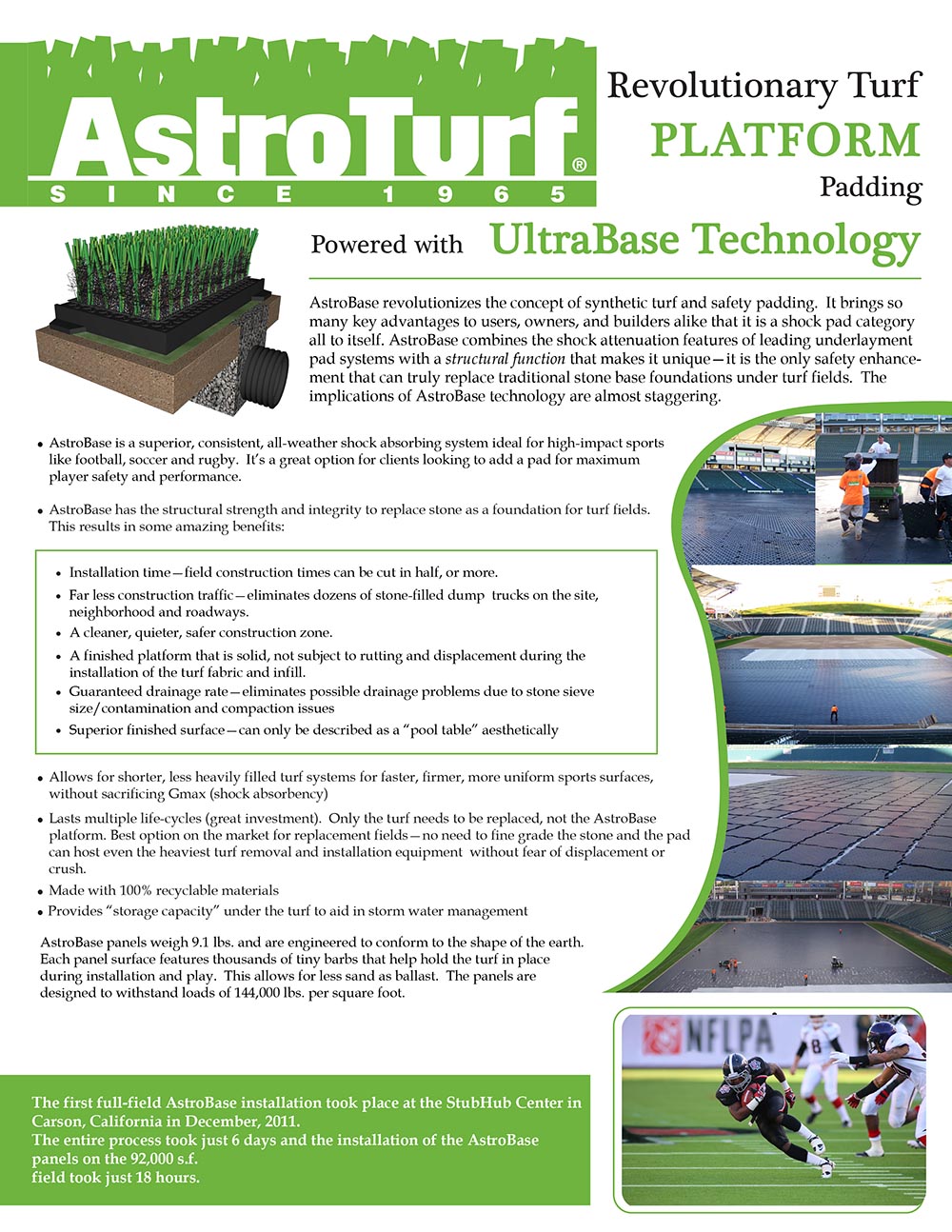 Flyer Design by emilia cat for this project | Design #4844189