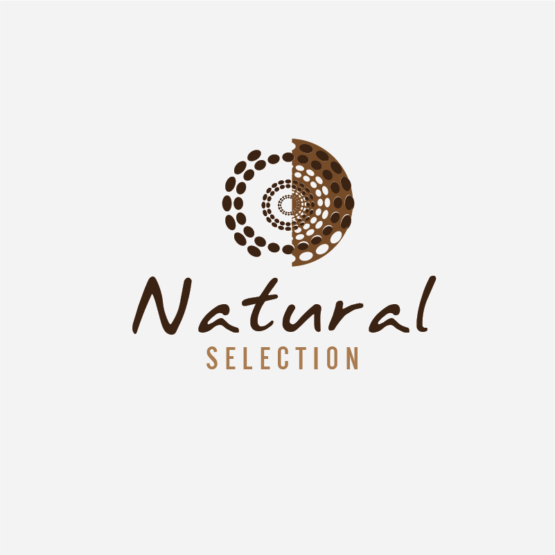 Logo Design by Shirlei Patricia for this project | Design #1365891