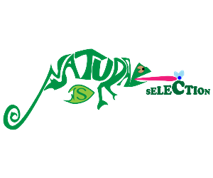 Logo Design by Ajnavi 