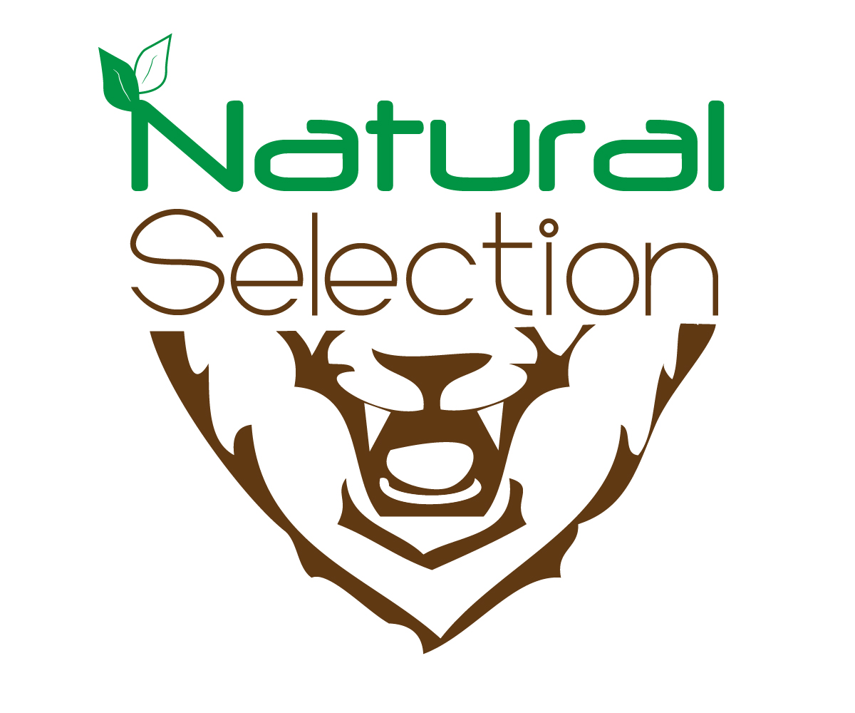 Logo Design by Neshernoa for this project | Design #1366194