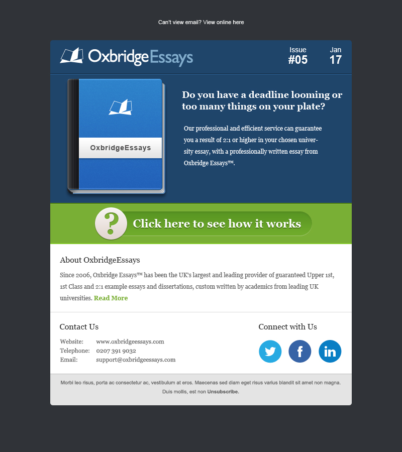 elegant playful it company newsletter design for a company by