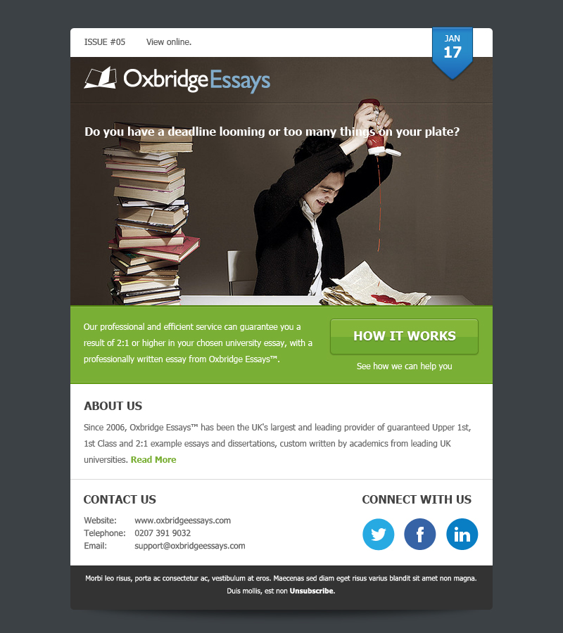 Newsletter Design by Budi Tanrim for this project | Design #1370893