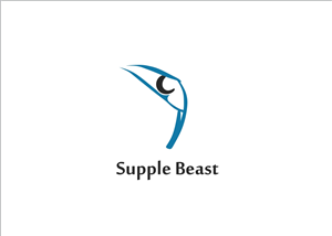 Logo Design by Studesign
