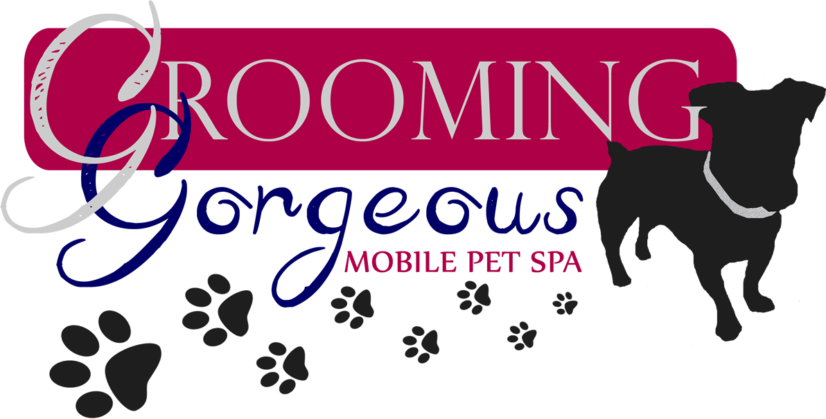Logo Design by wild.banana for this project | Design #4847421