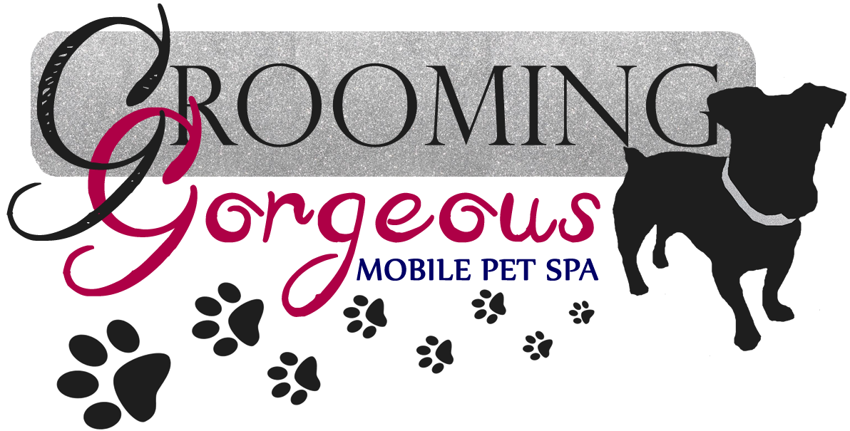 Logo Design by wild.banana for this project | Design #4847478