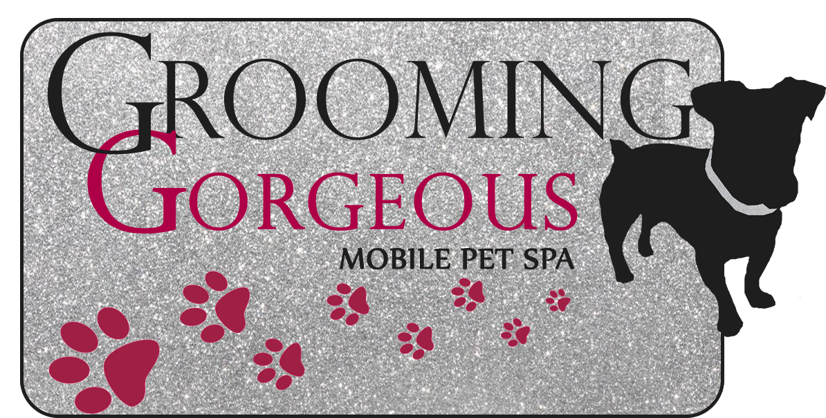 Logo Design by wild.banana for this project | Design #4860202