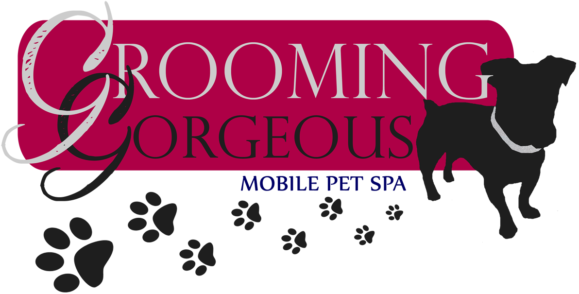 Logo Design by wild.banana for this project | Design #4860207