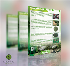 Flyer Design by Smart Line Adv for this project | Design: #4851055