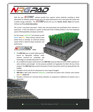 Flyer Design by Pixel_Leaf for this project | Design #4842942