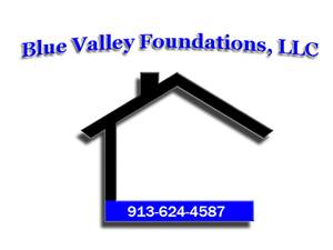 Logo Design by Logo Pro