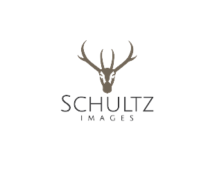 Logo Design by meygekon for this project | Design: #4910067
