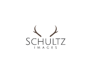 Logo Design by meygekon for this project | Design: #4910078