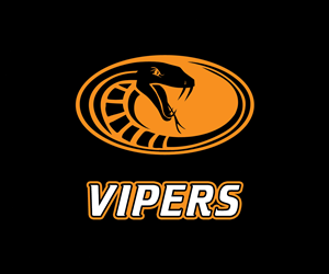 Logo Design by borzoid