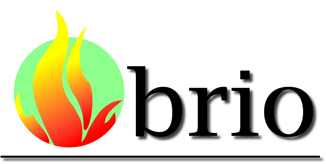 Logo Design by Agamis for Brio Design | Design #4871901
