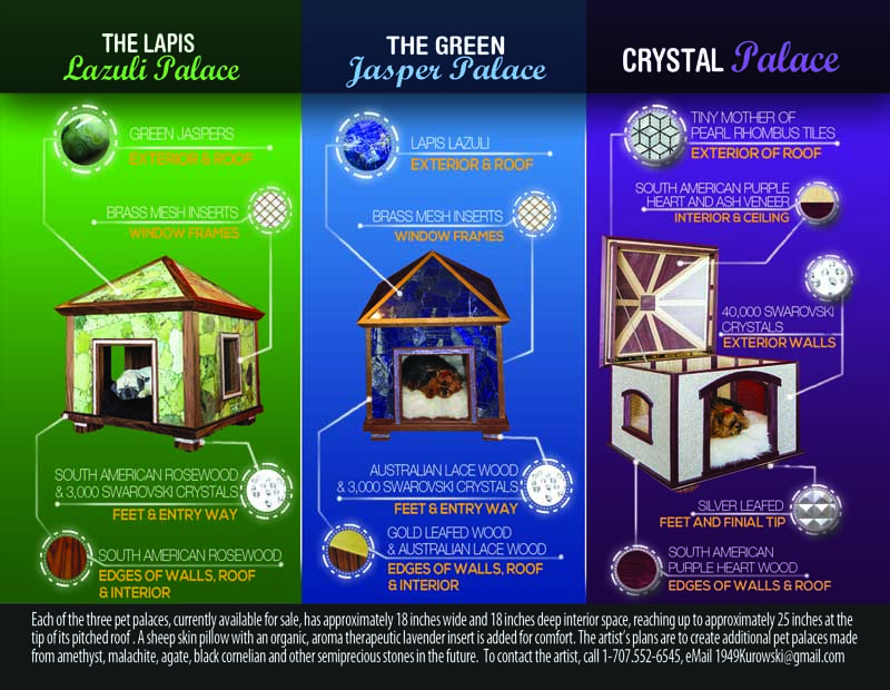 Postcard Design by alessandroevge for this project | Design #4849431