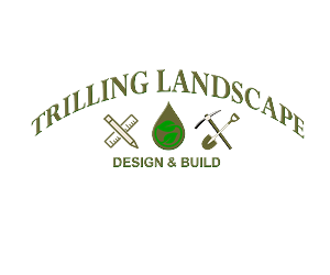 Logo Design by Logo Pro