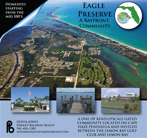 Advertisement Design by TedAtkinson