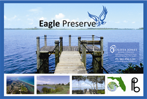 Advertisement Design by cb1318 for this project | Design: #4883113