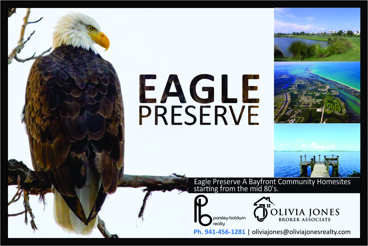 Advertisement Design by cb1318 for this project | Design #4884039