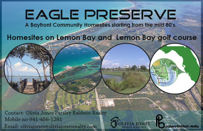 Advertisement Design by creativepriya for this project | Design #4884013