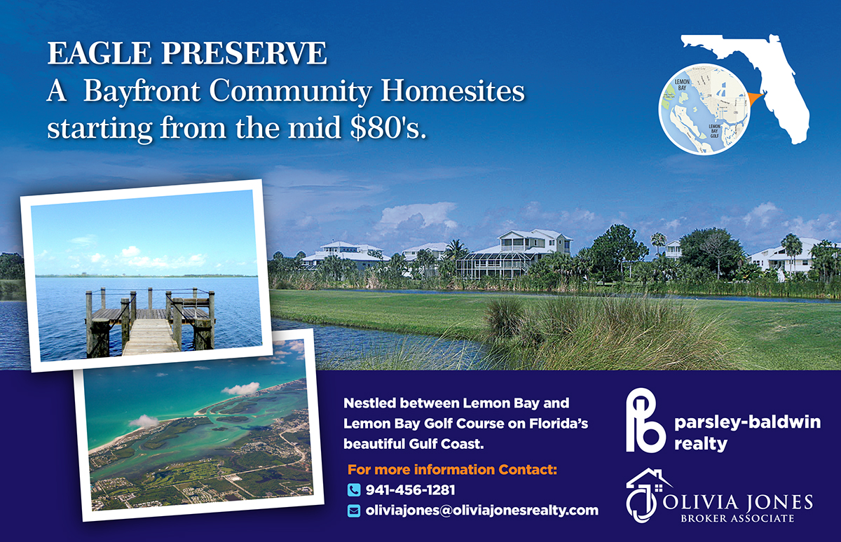 Advertisement Design by laxman2creative for this project | Design #4927768