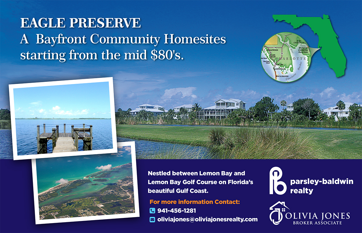 Advertisement Design by laxman2creative for this project | Design #4928520