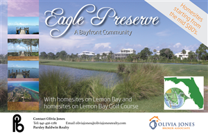 Advertisement Design by Raven Designs 2024