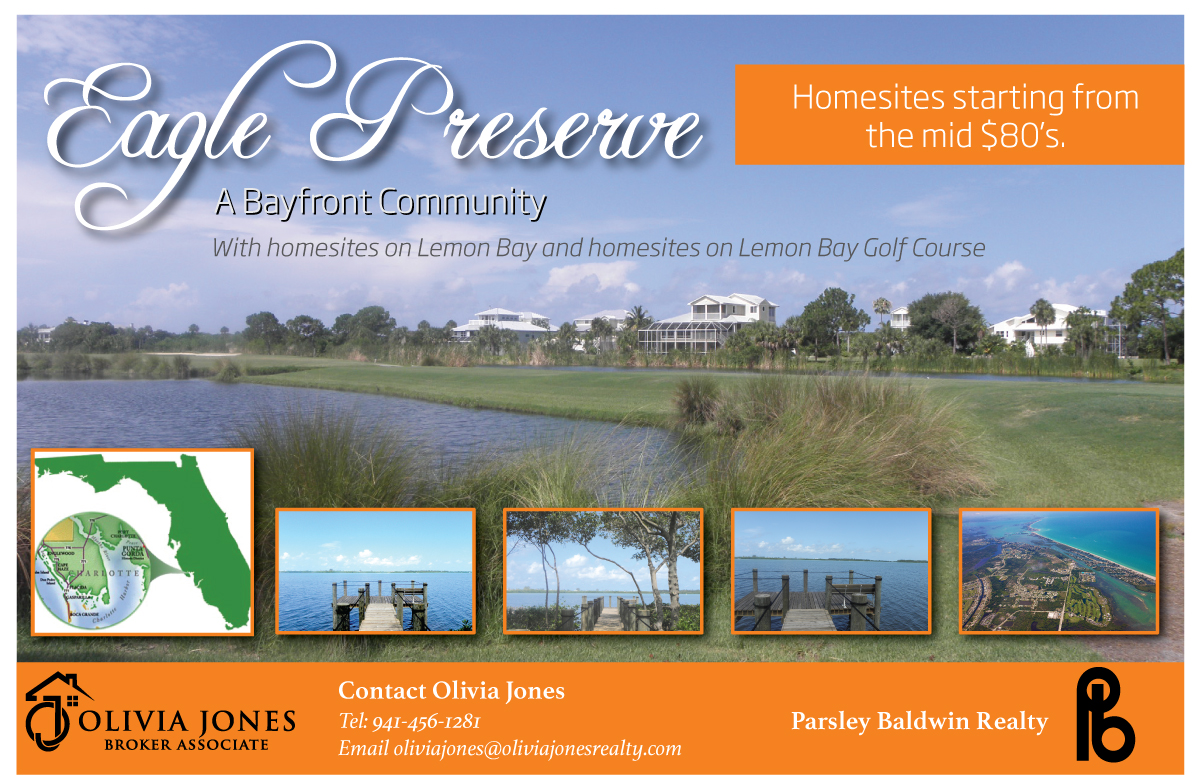 Advertisement Design by Raven Designs 2024 for this project | Design #4866366