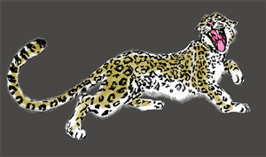 Illustration Design by Edwin for Wild Crossing | Design #4885774