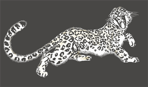 Illustration-Design von Edwin für Wild Crossing | Design: #4885818