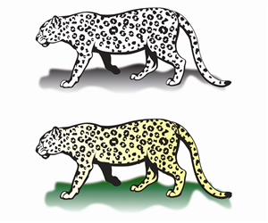 Illustration Design by Hot Rod