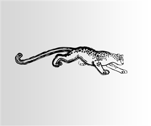 Illustration Design by borzoid for Wild Crossing | Design #4871389