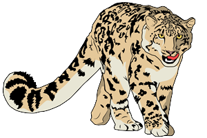 Illustration Design by m_babineau7 for Wild Crossing | Design #4866848