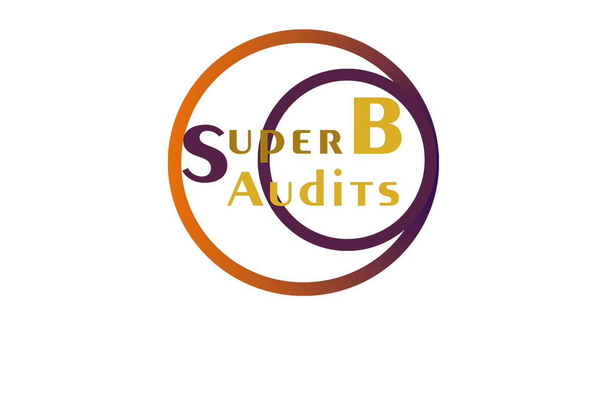 Logo Design by milicontreras22 for Superb Audits Pty Ltd | Design #4857799